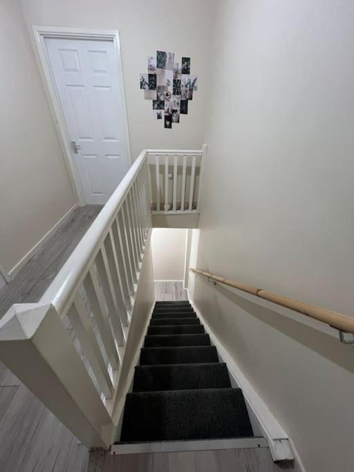 Haven - Beautiful 3 Bedroom House Ballynahinch Екстер'єр фото