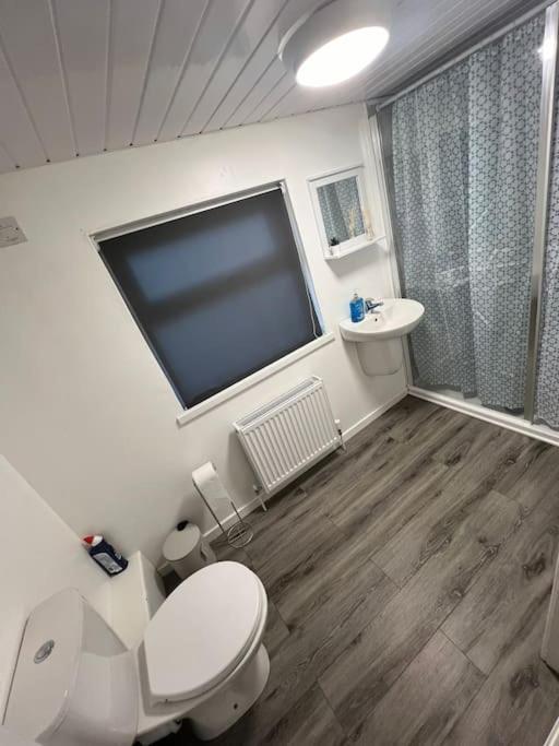 Haven - Beautiful 3 Bedroom House Ballynahinch Екстер'єр фото