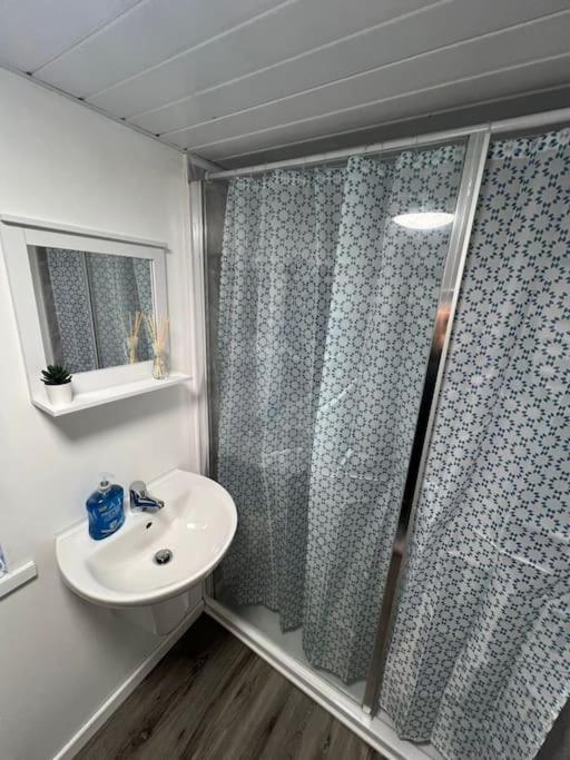 Haven - Beautiful 3 Bedroom House Ballynahinch Екстер'єр фото